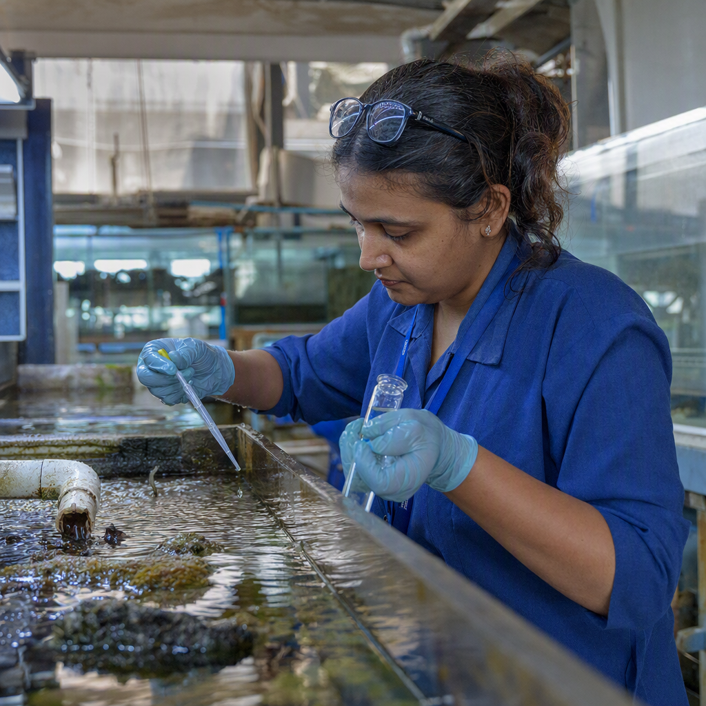 Gloved hands sorting labelled shoreline litter samples on a field table