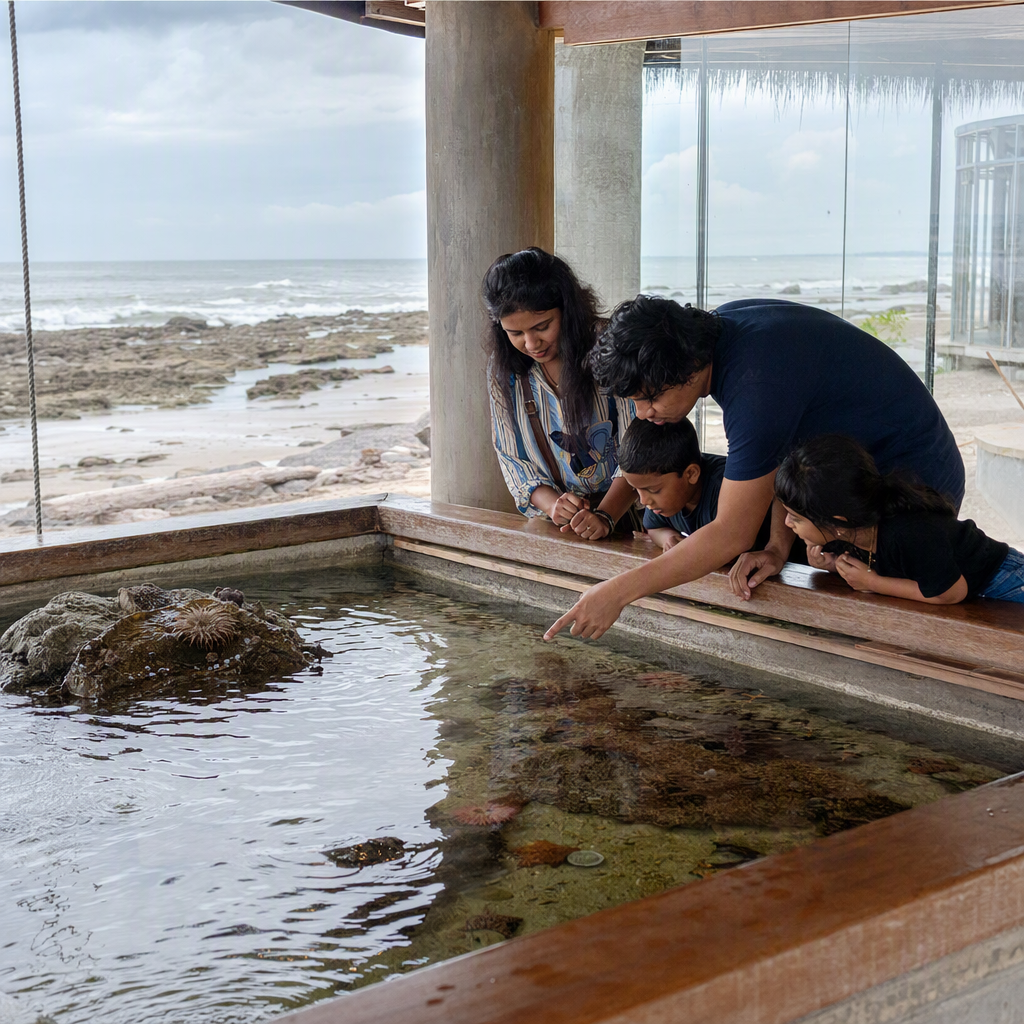 Family examining shells and seaweed together at a supervised tidal table